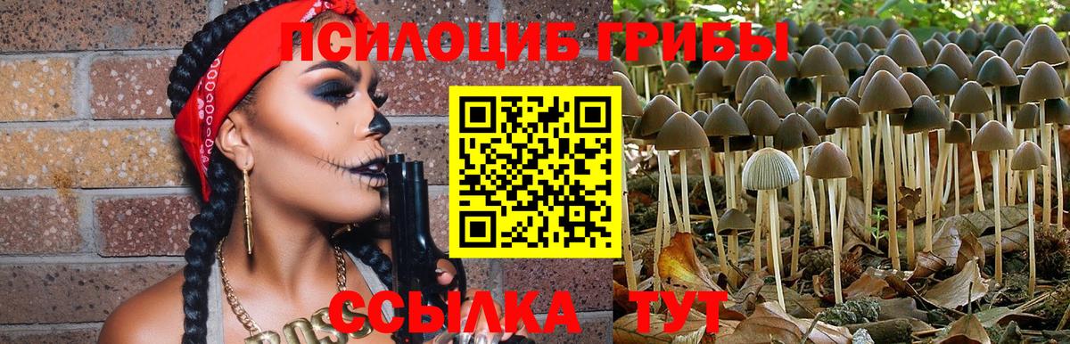 Сыктывкар  цены   Вход с VPN  Галлюциногенные грибы ЛСД 