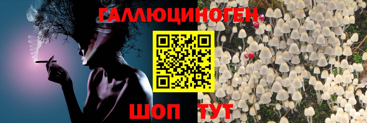 Галлюциногенные грибы прущие грибы Сыктывкар