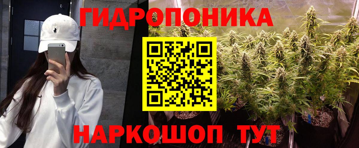 Марихуана ГИДРОПОН Сыктывкар